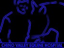 Chino Valley Equine Hospital