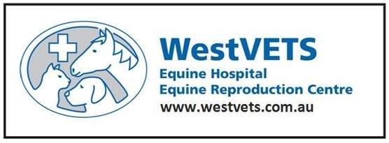 WestVETS (Anstead)